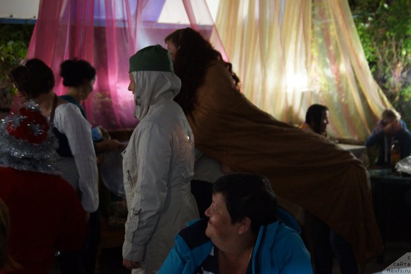 Фотография № 214827