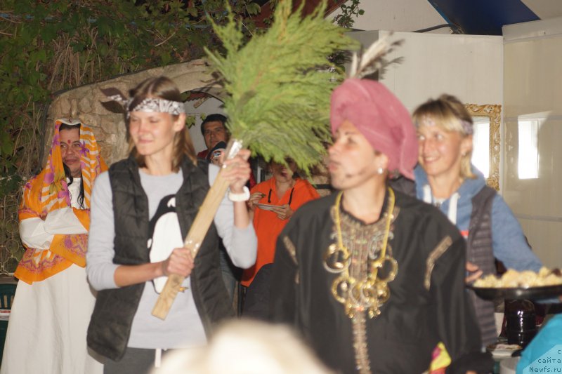 Фотография № 214834