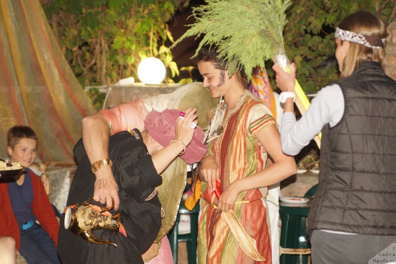 Фотография № 214838