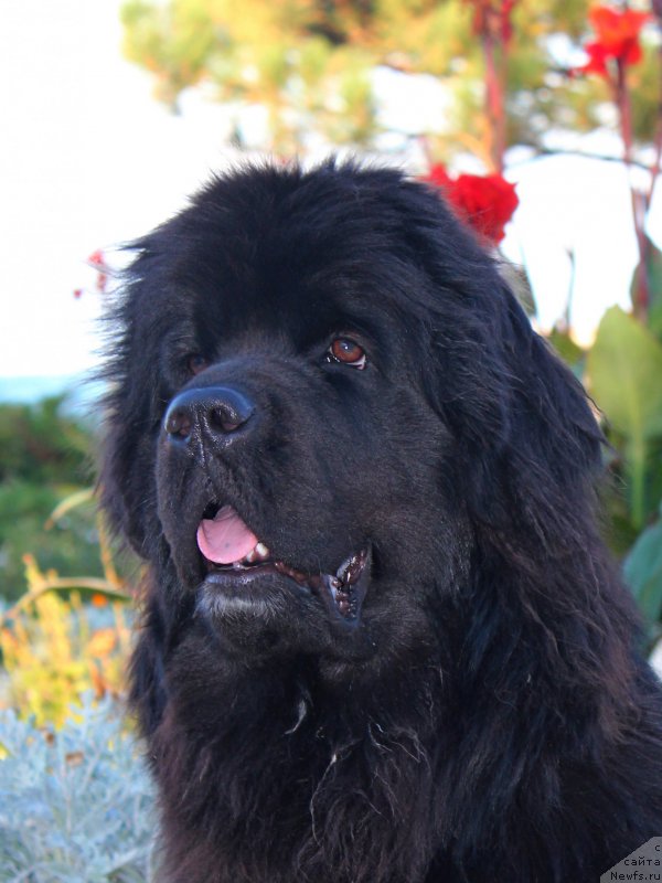 Фотография № 214851