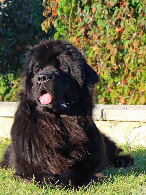 Фотография № 214853