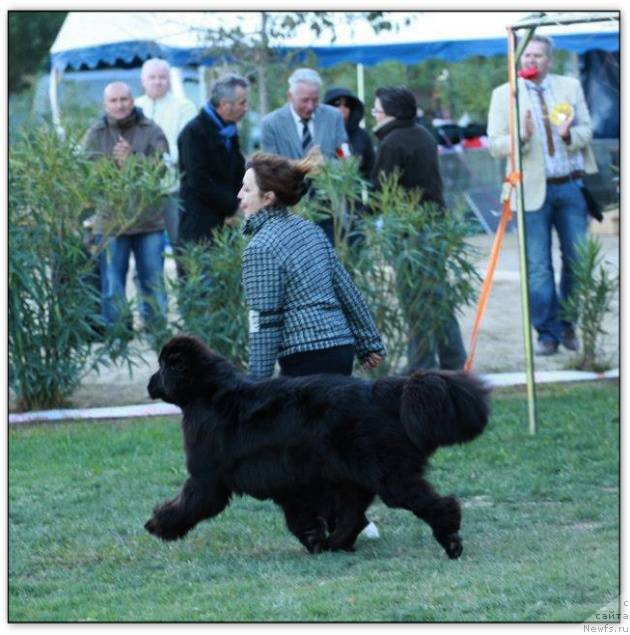 Фотография № 214860