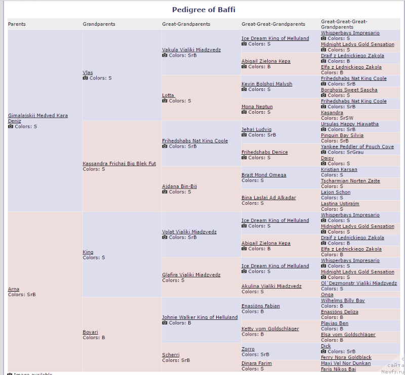 Фотография № 214885