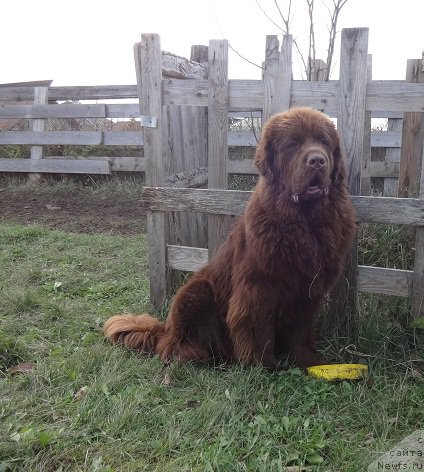 Фотография № 214886