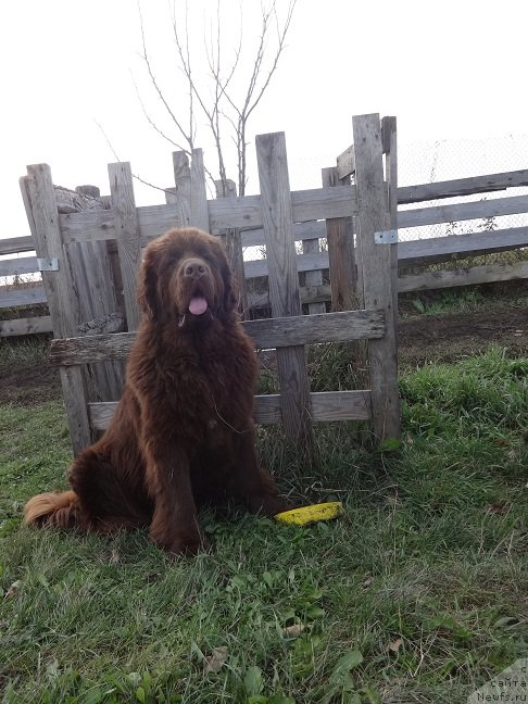 Фотография № 214889