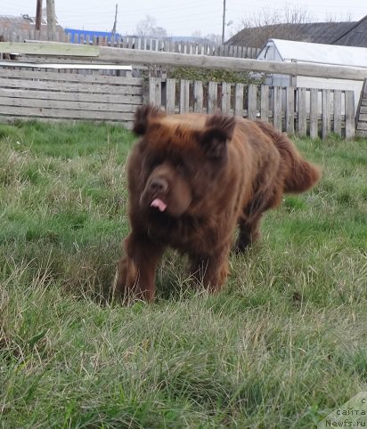 Фотография № 214892