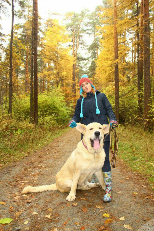 Фото: Lena Zyirina (Лена Зырина)