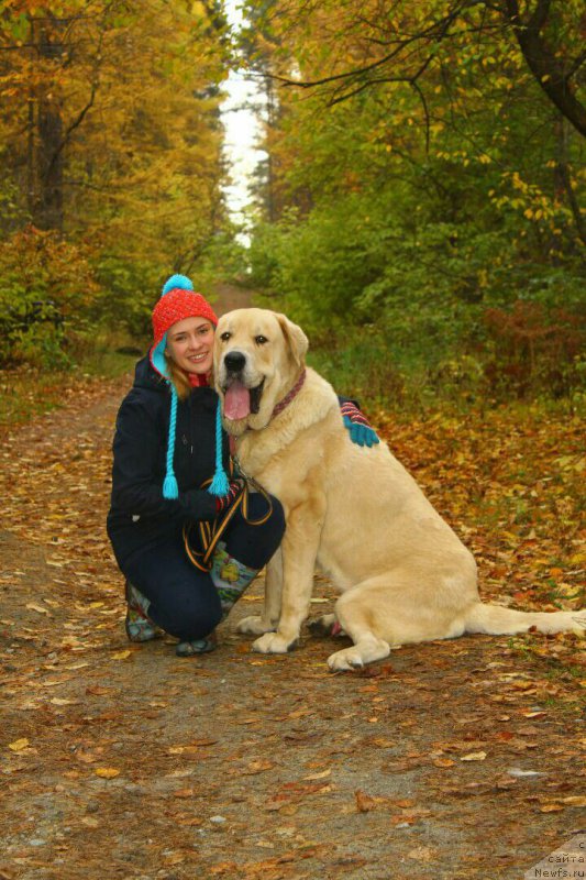 Фото: Lena Zyirina (Лена Зырина)