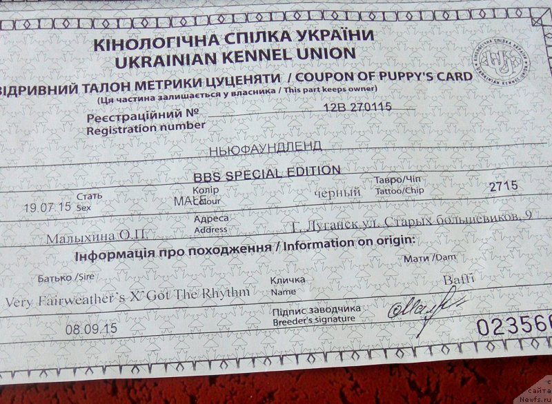 Фотография № 214908