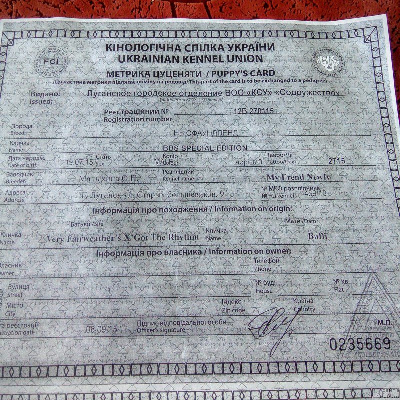 Фотография № 214909