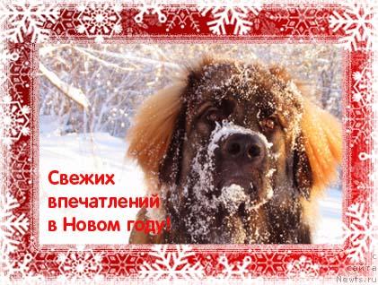 Фотография № 21491