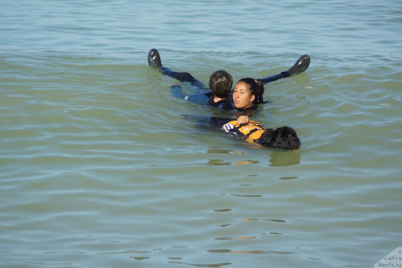 Фото: Elena Snigereva (Елена Снигерева)