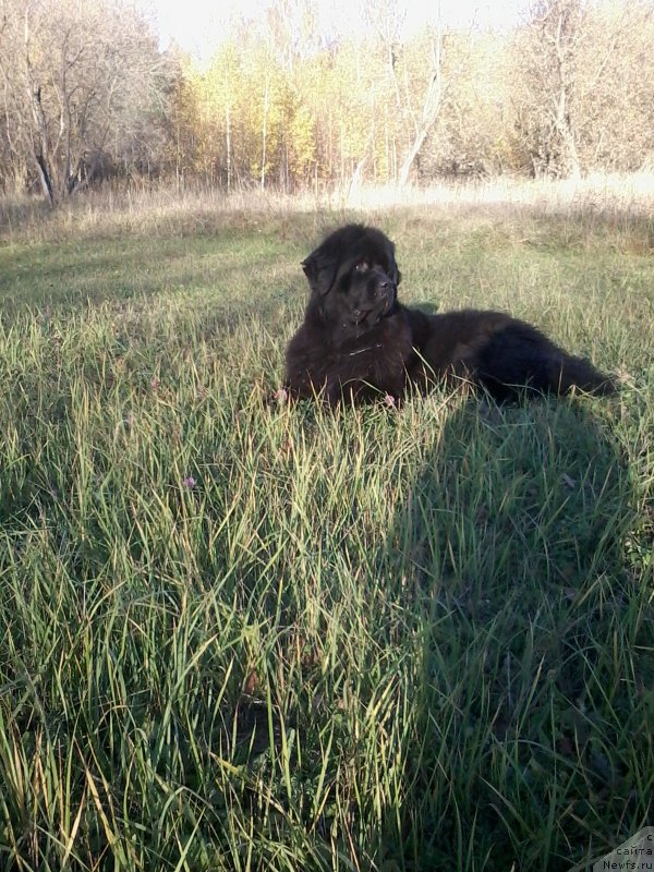 Фотография № 214924