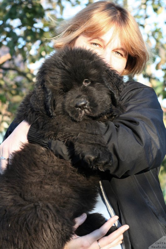 Фотография № 214931