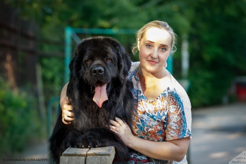 Фото: ньюфаундленд Vakula Olimpiyskiy Mishka (Вакула Олимпийский Мишка), YUliya Vashkina (Юлия Вашкина)