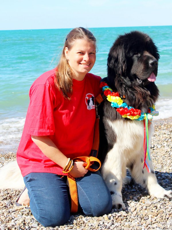 Фотография № 215177