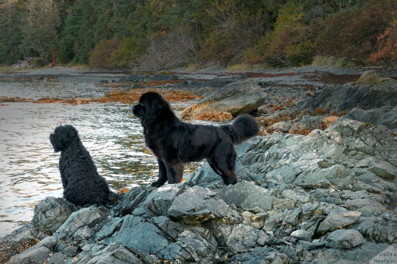 Фотография № 215198