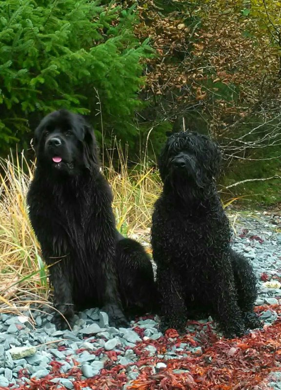 Фотография № 215200