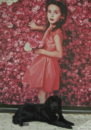 Фотография № 215253