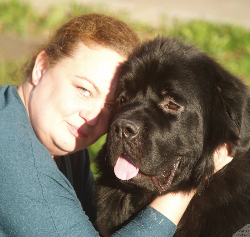 Фото: ньюфаундленд Smigar Umnica Razumnica (Смигар Умница Разумница)