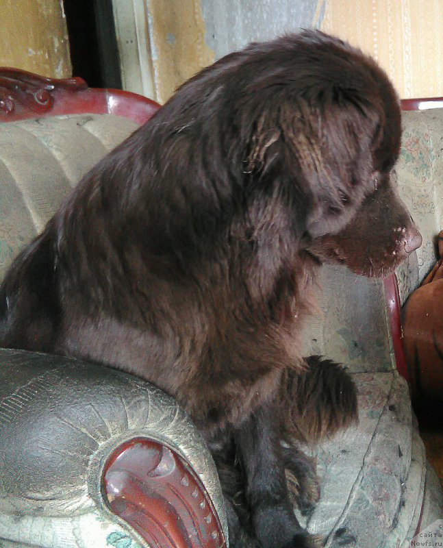 Фотография № 215287