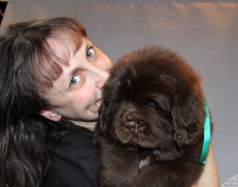 Фотография № 215317