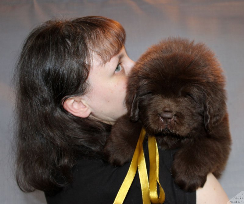 Фотография № 215321