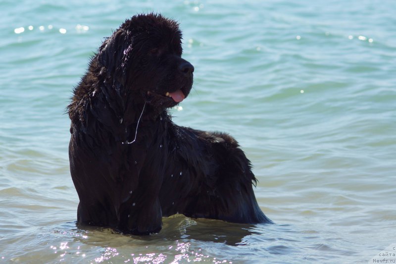 Фотография № 215364