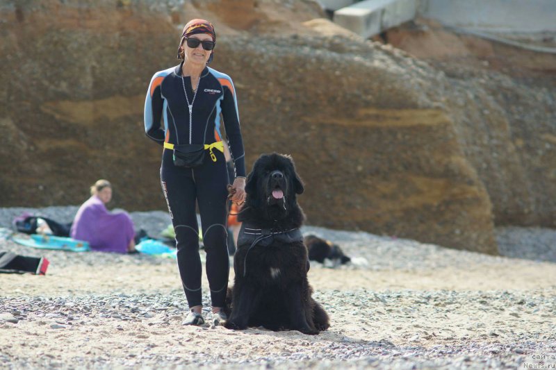 Фотография № 215370