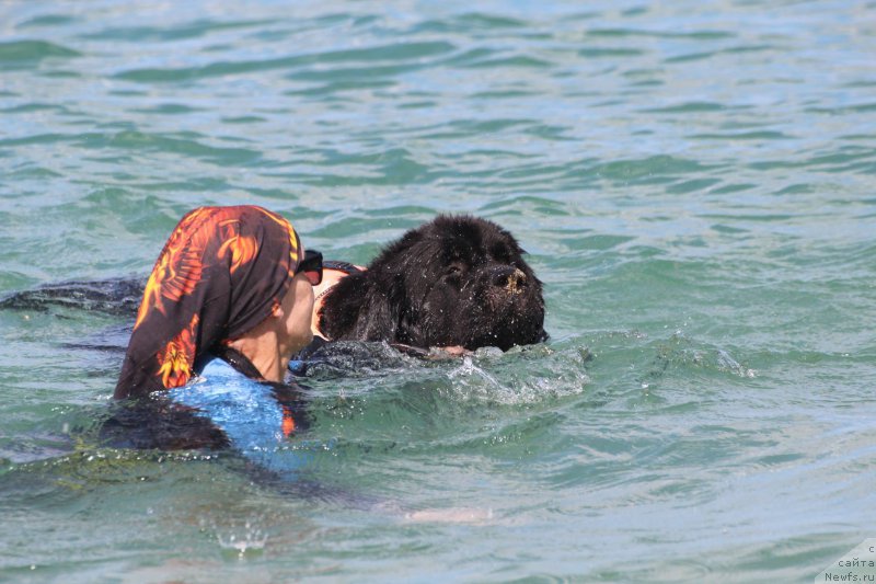 Фотография № 215373