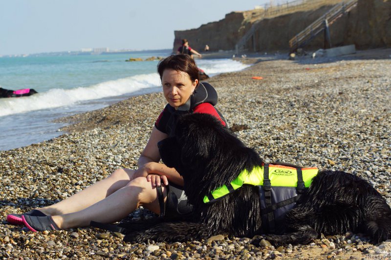 Фотография № 215375