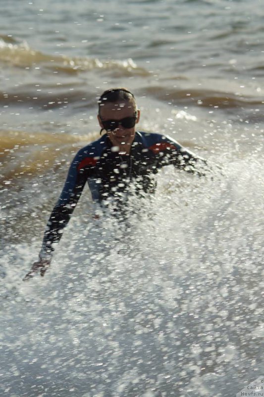 Фотография № 215378