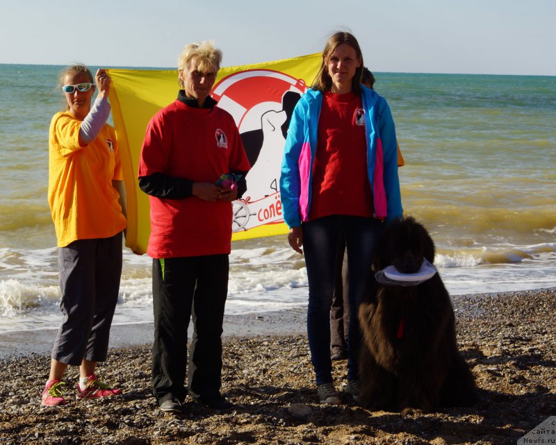 Фотография № 215395