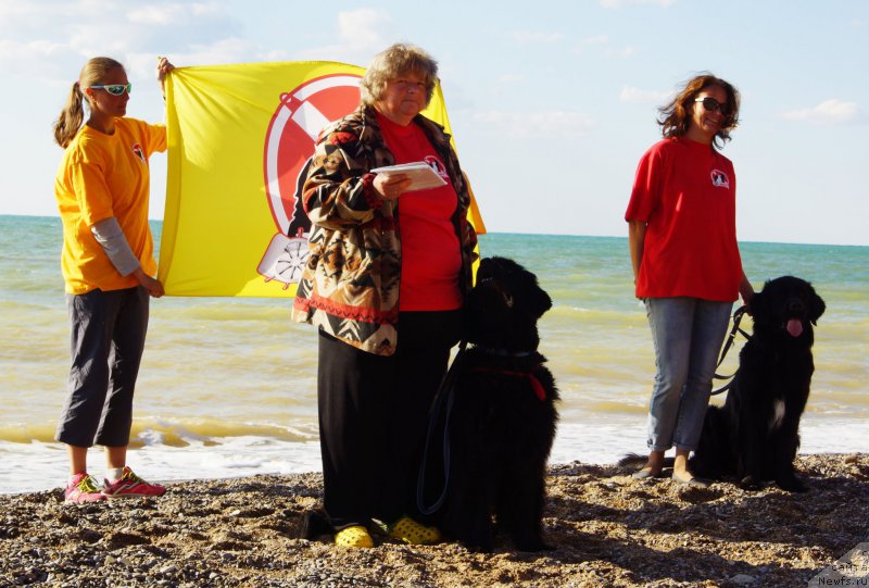 Фотография № 215397