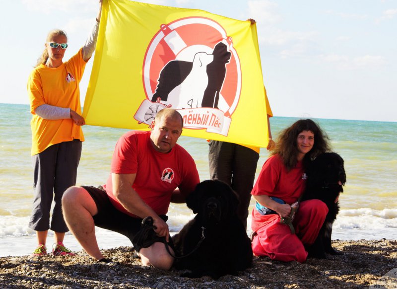 Фотография № 215398