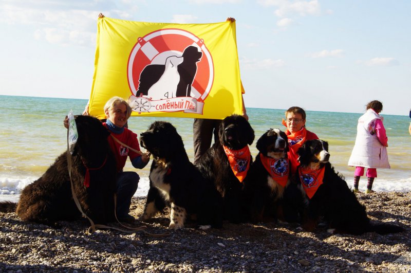 Фотография № 215399