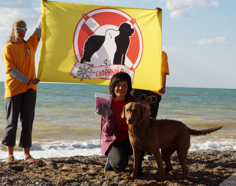 Фотография № 215401