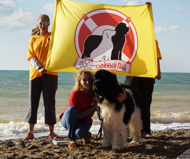 Фотография № 215402