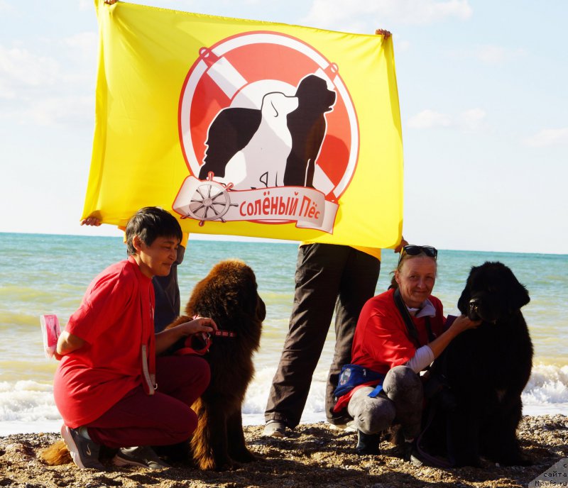 Фотография № 215403