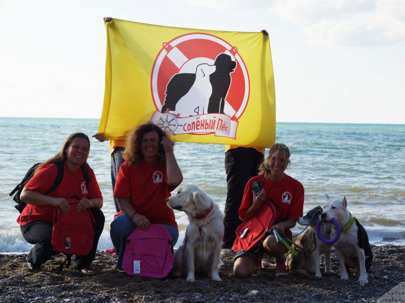 Фотография № 215409