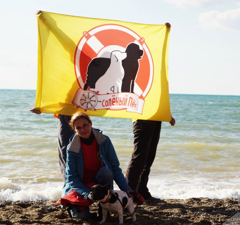 Фотография № 215413