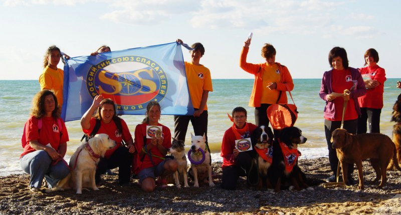 Фотография № 215420