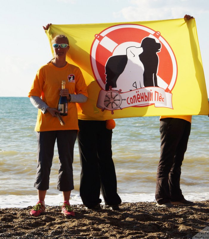 Фотография № 215421