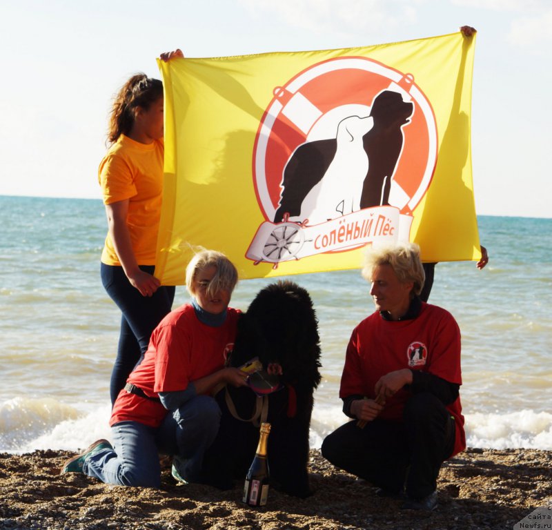 Фотография № 215424