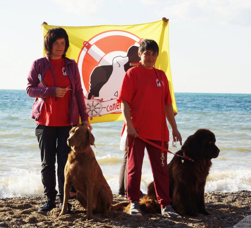 Фотография № 215428