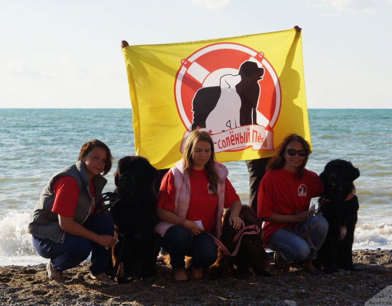 Фотография № 215429