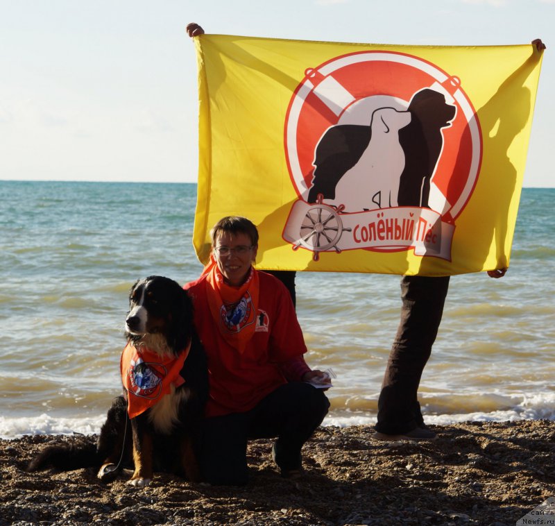 Фотография № 215435