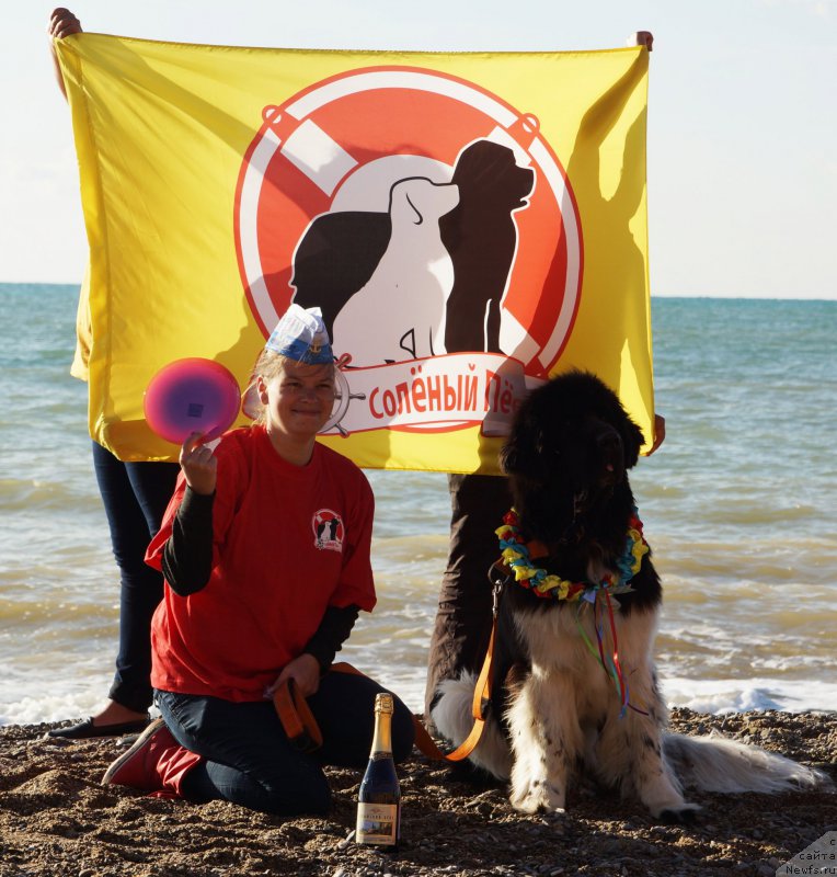 Фотография № 215439