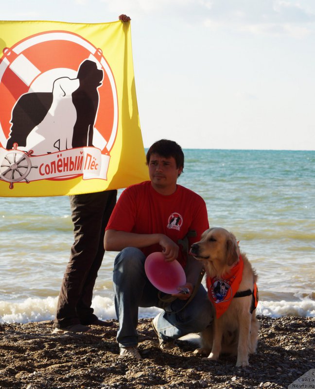 Фотография № 215440