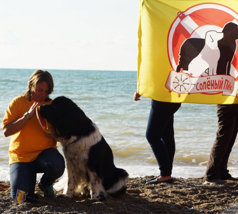 Фотография № 215441